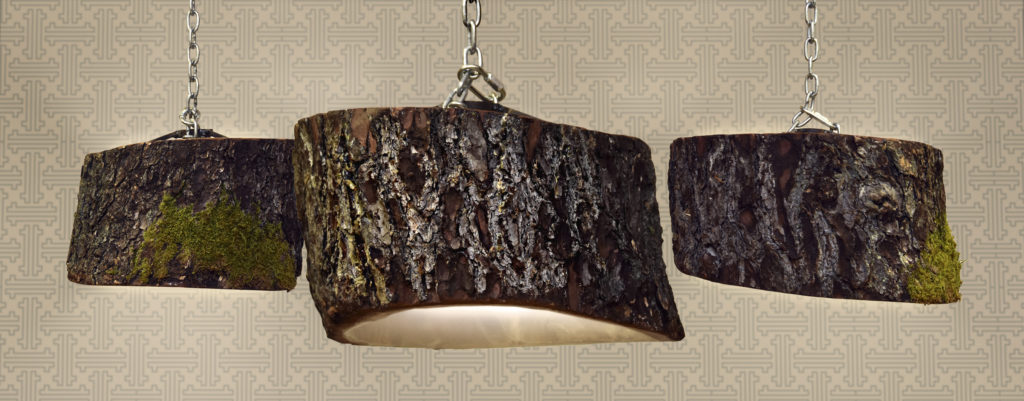 Licht aus dem Wald - Lust aufs Land