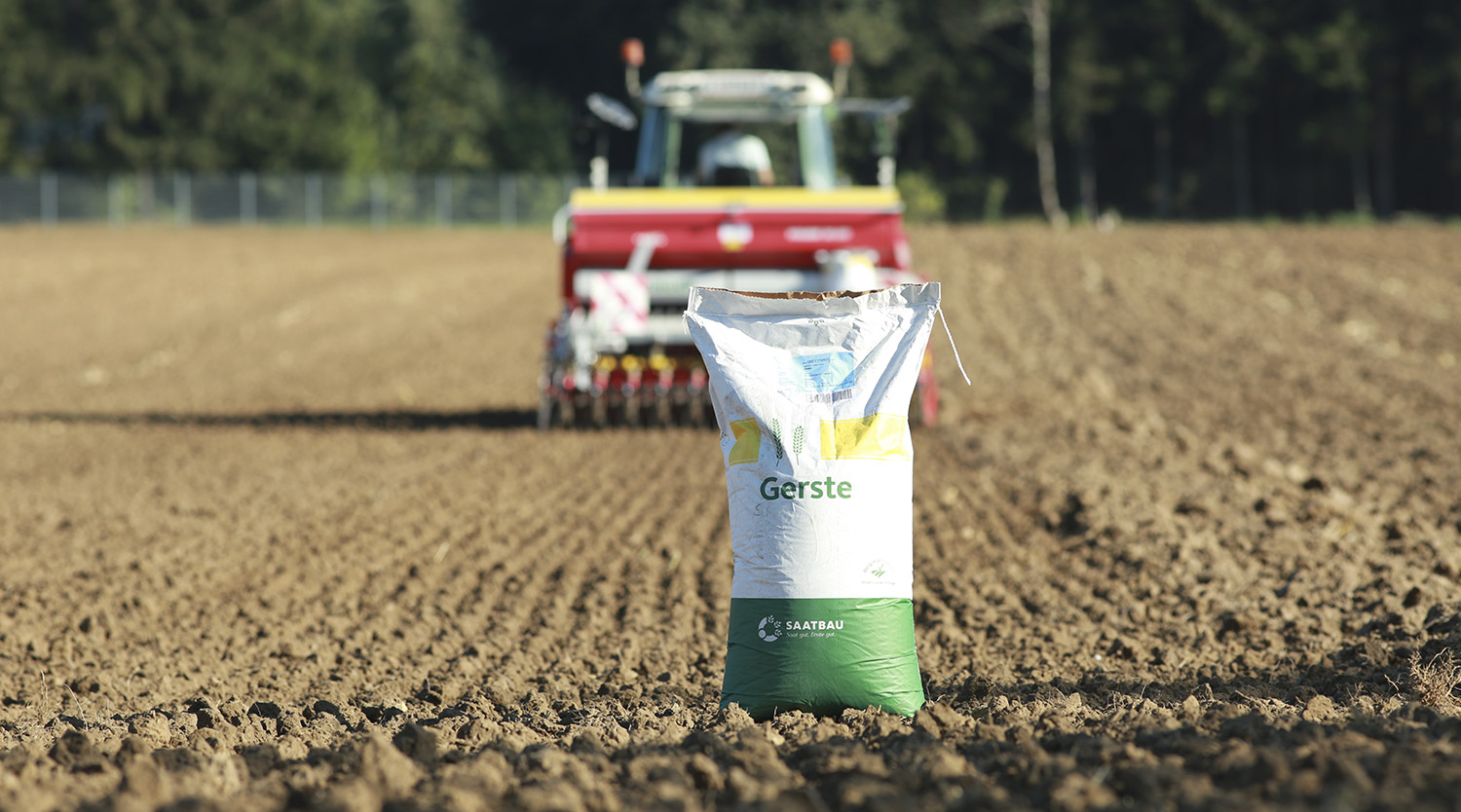 Gerste-1