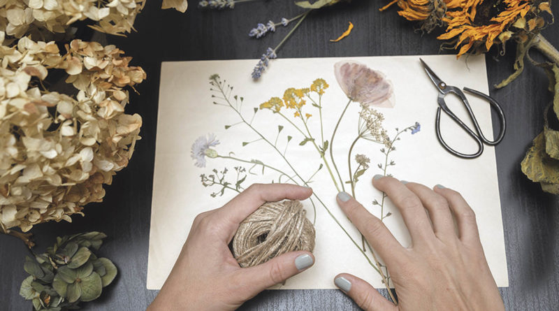 Ein Herbarium für Naturforscher Lust aufs Land