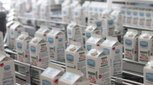 Milchproduktion Abfüllung