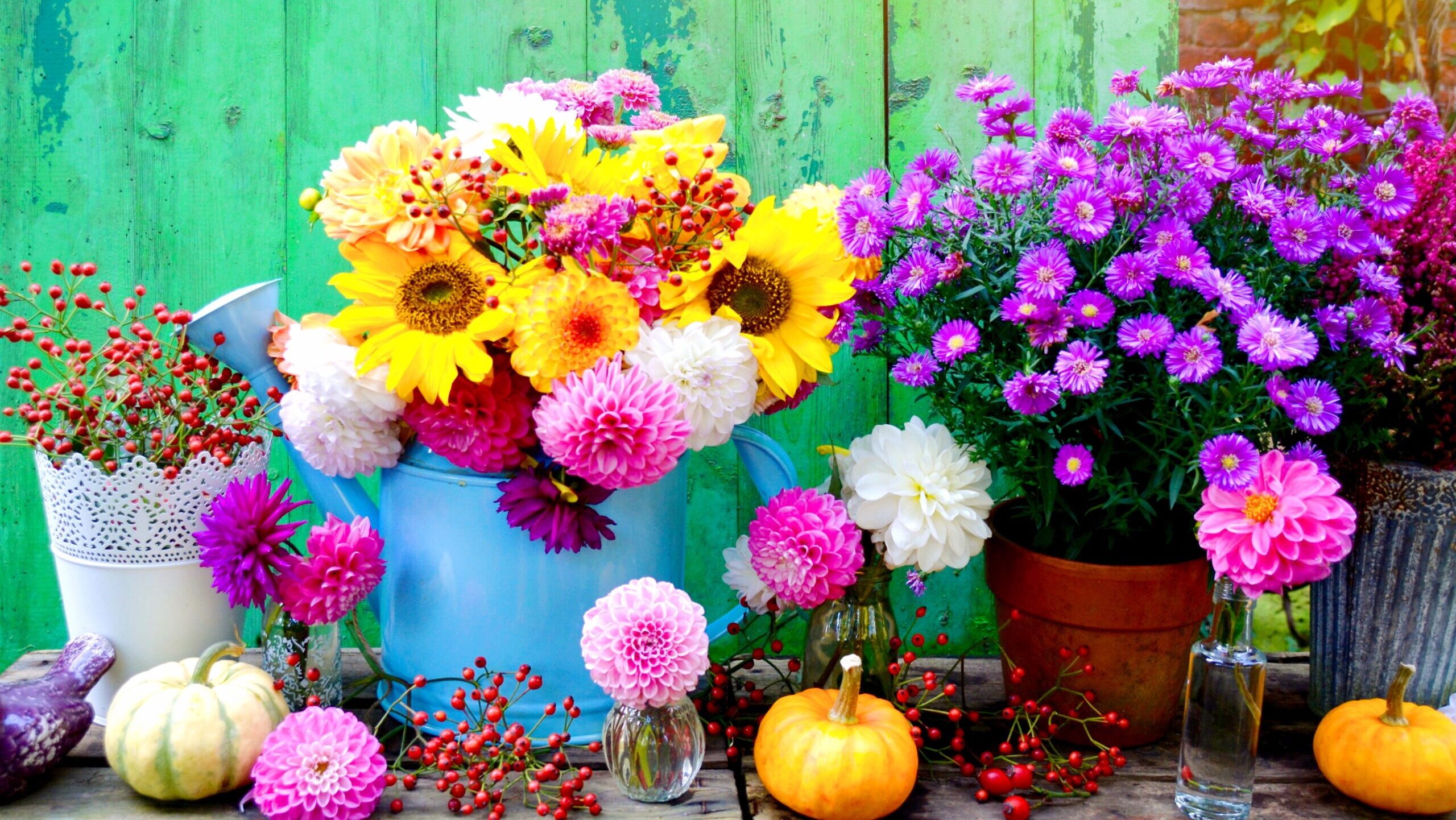 Der Herbst wird bunt